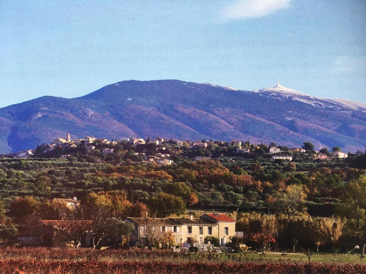 Gite En Provence "Rose" Modene Exteriör bild