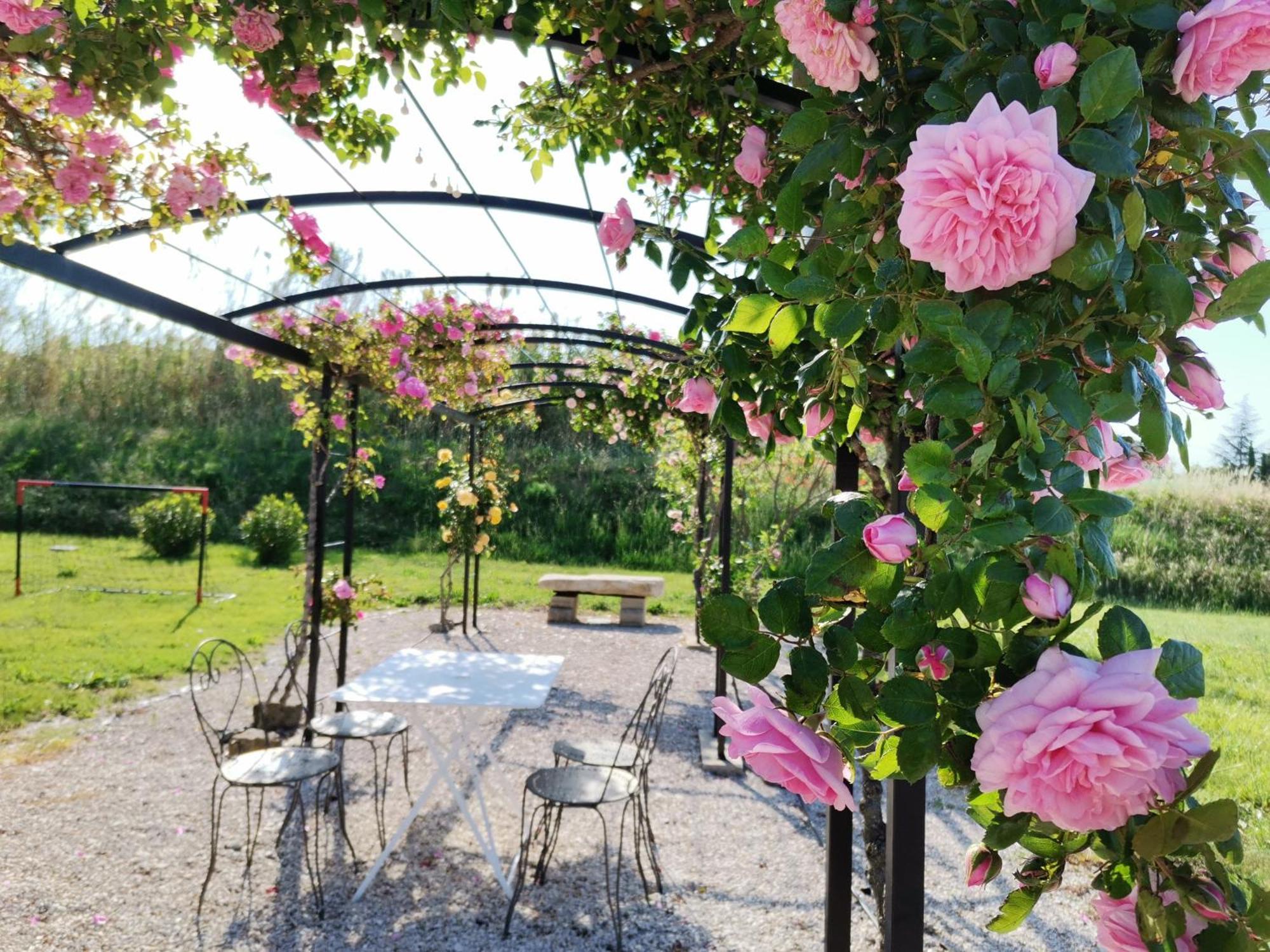 Gite En Provence "Rose" Modene Exteriör bild