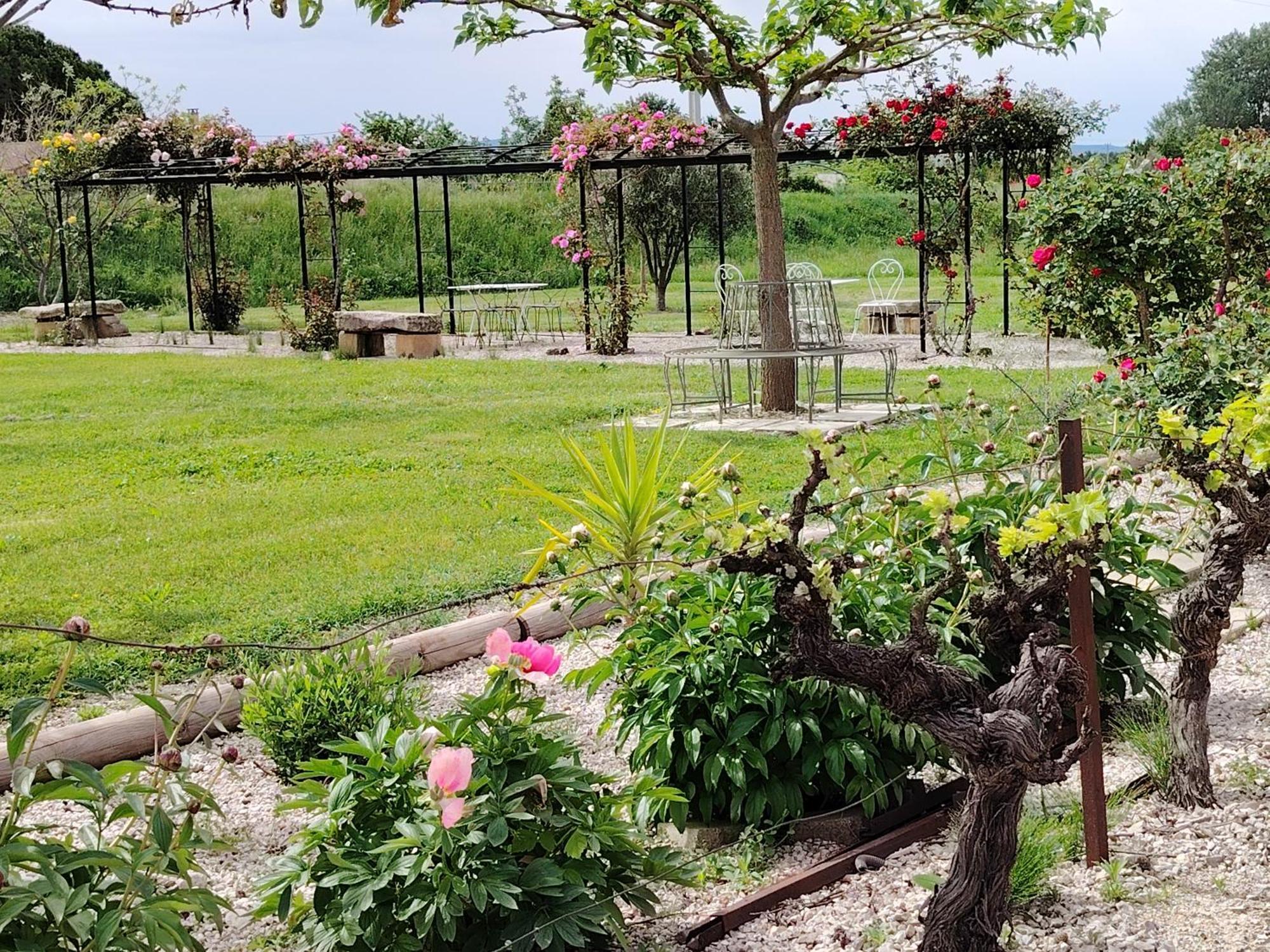 Gite En Provence "Rose" Modene Exteriör bild